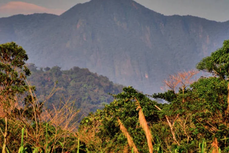 Construída aos pés da Serra do Mar, bem ao lado do oceano Atlântico, viagem em rodovia só pode resultar em visuais espetaculares (Otávio Nogueira/Creative Commons)