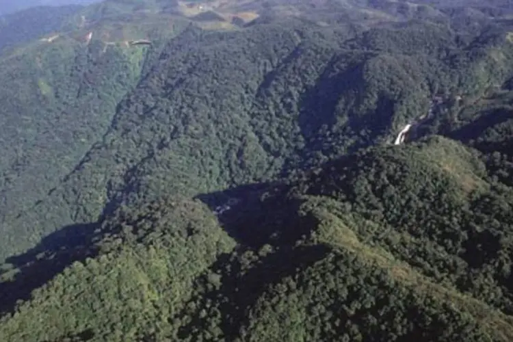 Vista da Serra do Mar, no sul do Estado de São Paulo: região contém a maior área contínua de Mata Atlântica no Brasil (.)
