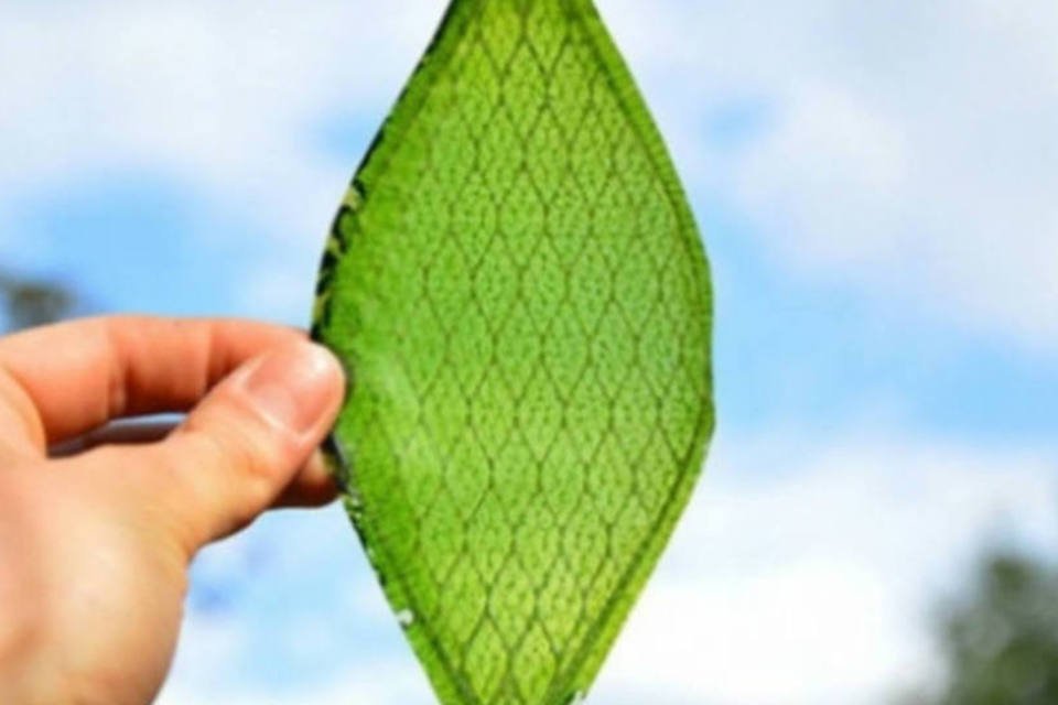 
	Silk Leaf: folha &eacute; feita com prote&iacute;nas de seda, que s&atilde;o resistentes a viagens espaciais
 (Julian Melchiorri)