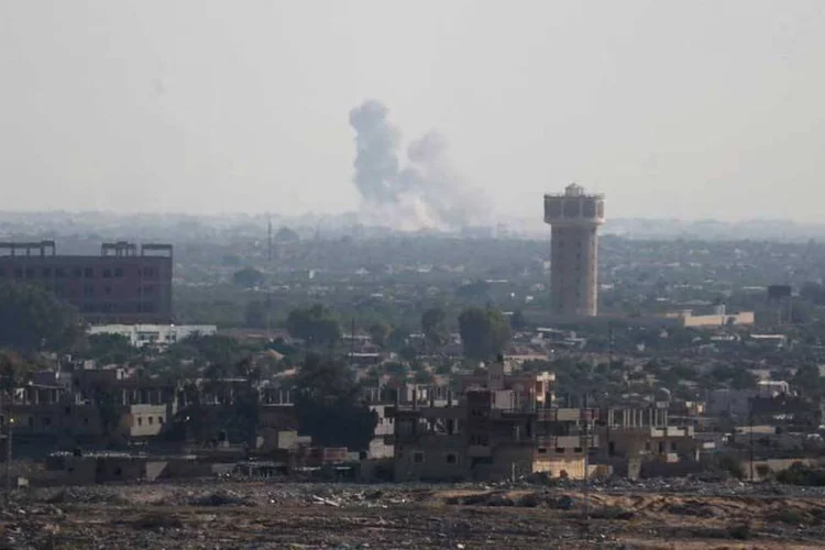 
	Regi&atilde;o eg&iacute;pcia do Sinai do Norte, perto da Faixa de Gaza: foram destru&iacute;dos 685 hectares de cultivo, privando os agricultores do seu meio de subsist&ecirc;ncia
 (REUTERS/Ibraheem Abu Mustafa)