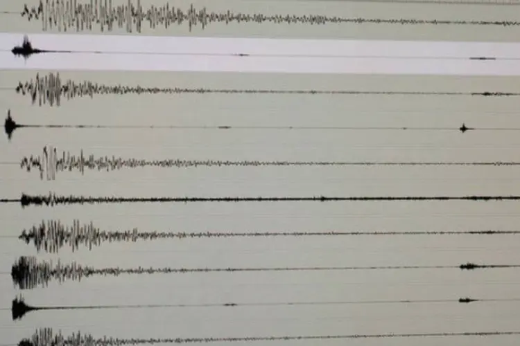 
	Sism&oacute;grafo: o forte tremor acabou gerando um alerta inicial de tsunami
 (AFP / Ted Aljibe)