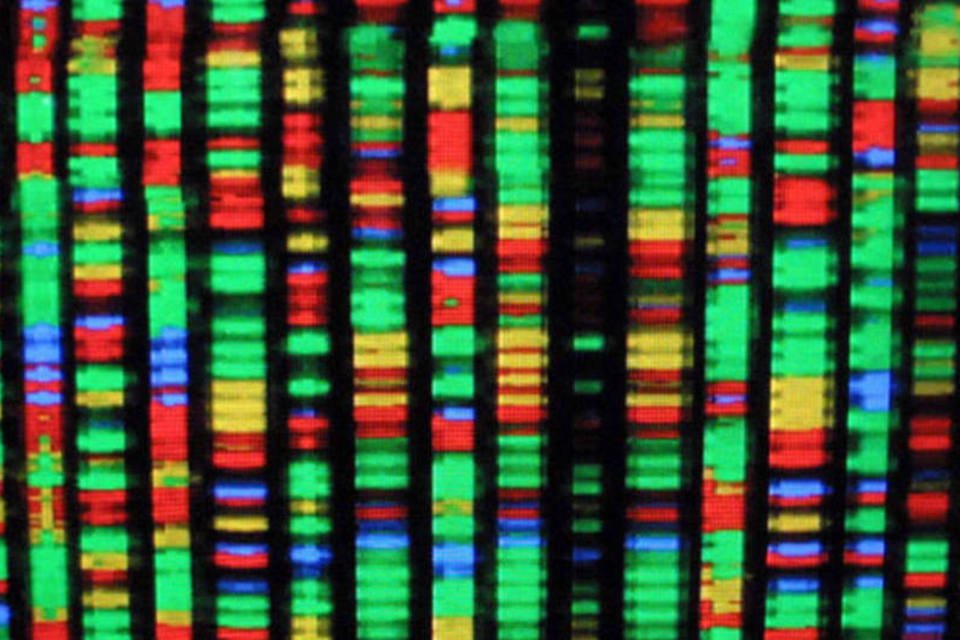 Genoma humano chegará  a US$ 1000 ainda neste ano