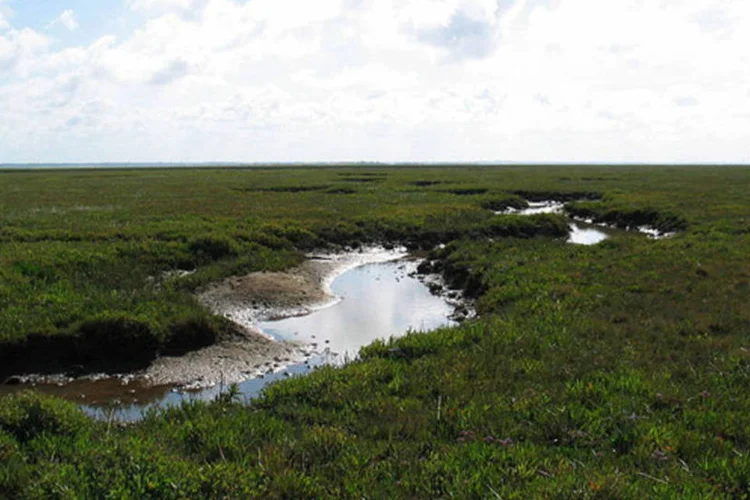 Região de Skallingen, na Dinamarca: ''A Península de Skallingen tem uma paisagem em transformação" (Wikimedia Commons)