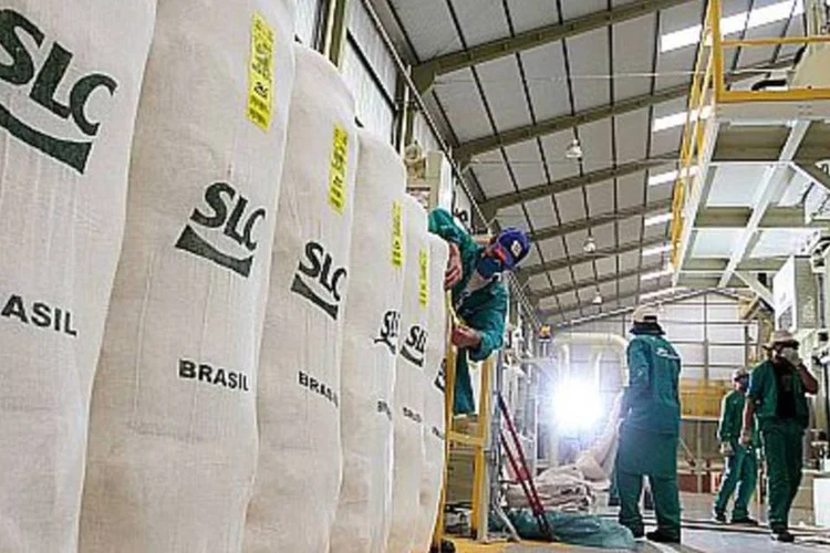 Fábrica de algodão em fazenda do grupo SLC Agrícola: desde a última avaliação, foram adquiridos 13.600 hectares dedicados exclusivamente à composição de reserva legal (Cristiano Mariz/Divulgação)