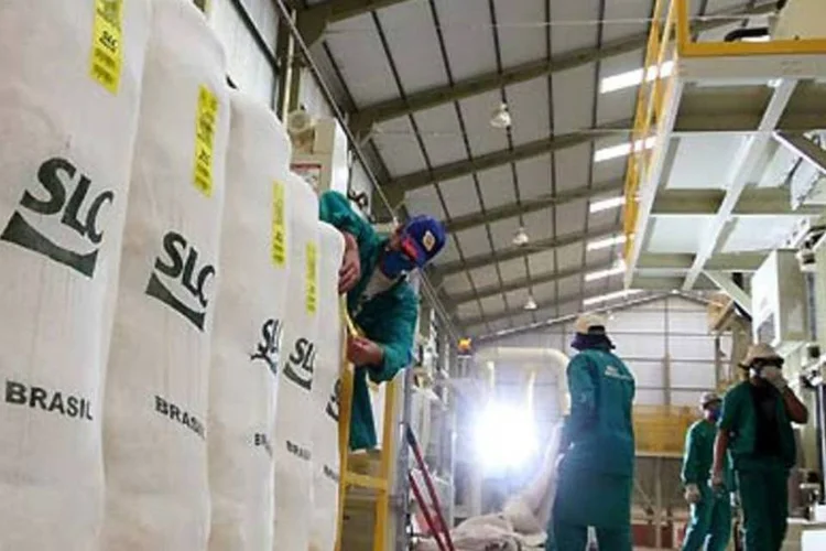 Fábrica da SLC Agrícola (CRISTIANO MARIZ/Exame)