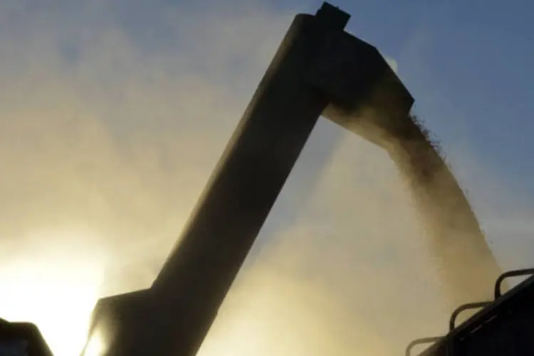 
	Colheita de soja: previs&atilde;o &eacute; de uma produ&ccedil;&atilde;o de 28,4 milh&otilde;es de toneladas em Mato Grosso, alta 21 por cento em rela&ccedil;&atilde;o &agrave; safra passada
 (Diego Giudice/Bloomberg News)