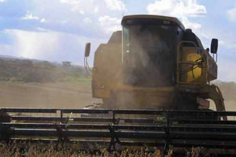 Cresce a capacidade ociosa da indústria de soja do Brasil