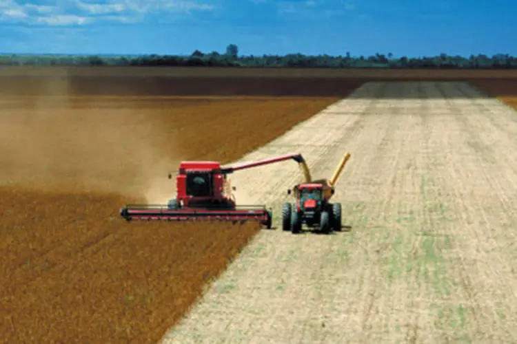 Plantação: a Conab estimou a safra de soja do Brasil na temporada 2011/12 em 66,37 milhões de toneladas (Arquivo)