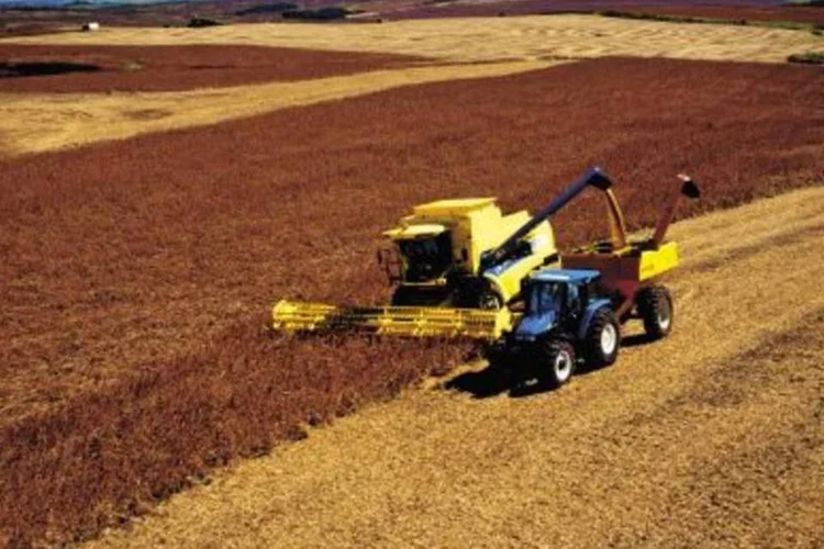 Colheita de soja no centro-oeste do País: safra deve ter crescimento de 20,2%, segundo Conab.