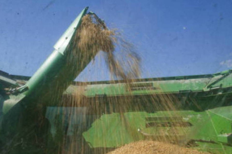 Vício por soja na Argentina prejudica produtores