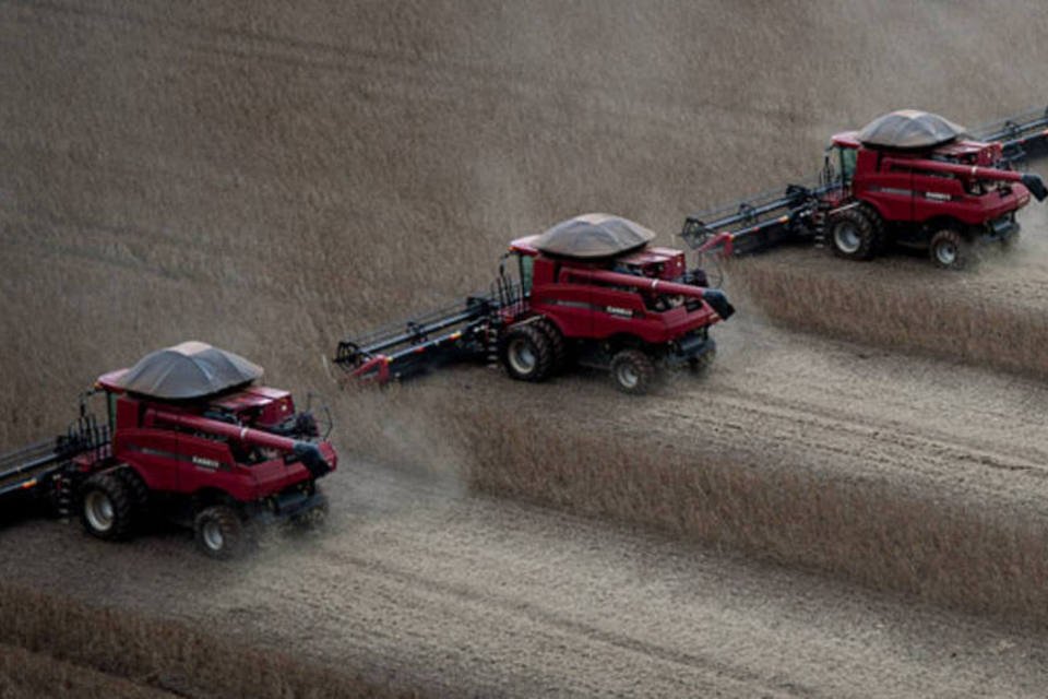 Praga difícil de vencer toma conta da agricultura brasileira