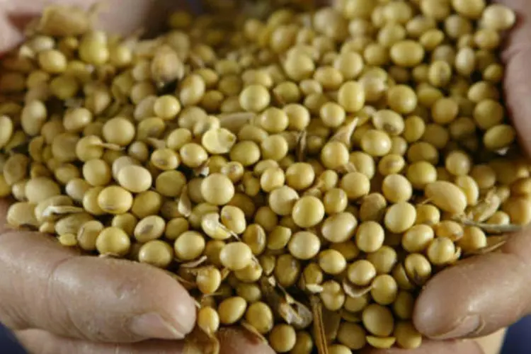 
	Soja:&nbsp;Paraguai &eacute; o quarto maior exportador de soja do mundo
 (Scott Olson/Getty Images)