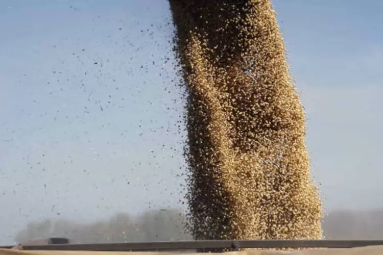 
	A safra de soja foi estimada em 283 milh&otilde;es de toneladas, 1 milh&atilde;o de toneladas a menos ante a proje&ccedil;&atilde;o anterior
 (REUTERS/Enrique Marcarian)