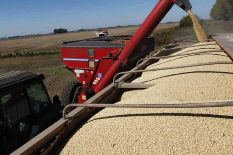 
	Soja: no m&ecirc;s, as commodities agropecu&aacute;rias (carnes de boi e de porco, algod&atilde;o, &oacute;leo de soja, trigo, a&ccedil;&uacute;car, milho, caf&eacute; e arroz) registraram a maior alta, com 5,73%.
 (REUTERS/Enrique Marcarian)