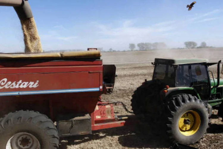 
	O Minist&eacute;rio da Agricultura argentino disse em comunicado que a colheita ser&aacute; superior &agrave; do ciclo anterior&nbsp;&quot;em mais de 11 milh&otilde;es de toneladas&quot;, n&uacute;meros que&nbsp;&quot;em termos absolutos a transformar&atilde;o na segunda melhor da hist&oacute;ria argentina&quot;
 (REUTERS/Enrique Marcarian)