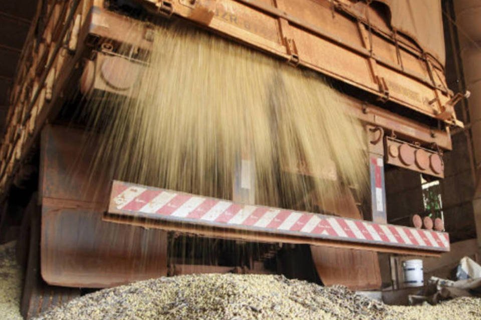 Cancelamentos da China esfriam Negócios com soja no Brasil