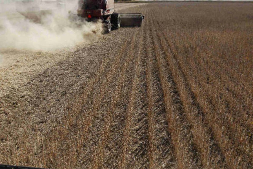 Recuo de preços esfria venda antecipada da soja 13/14