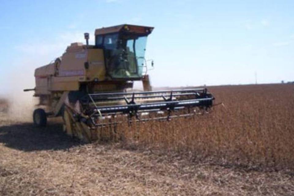 Monsanto perde disputa de soja modificada na UE