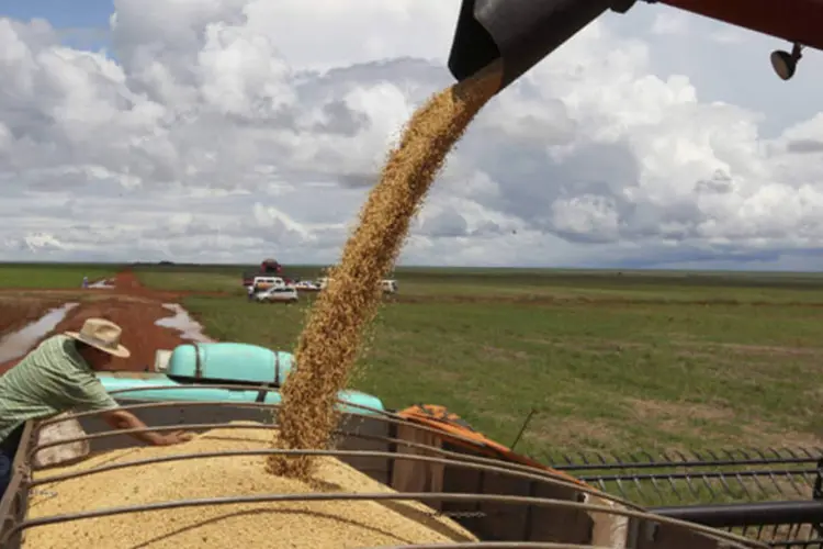 
	Al&eacute;m da soja, outros produtos foram destaque de desacelera&ccedil;&atilde;o no atacado, como o milho (de 6,95% para 0,63%) e o arroz (de -0,47% para -4,15%)
 (Paulo Whitaker/Reuters)