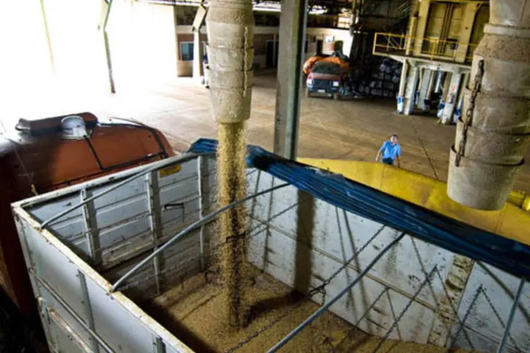 Caminhão é carregado com grãos de soja colhidos na fazenda São Miguel, em Campo Verde, Brasil (Paulo Fridman/Bloomberg News)