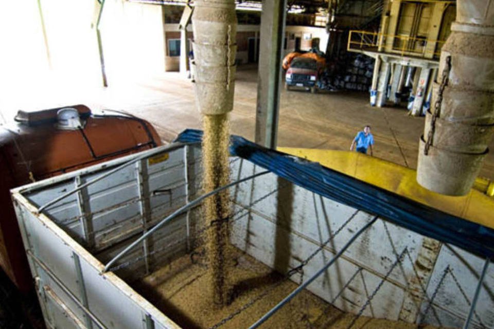 Exportações de milho e soja caem em agosto, diz Secex