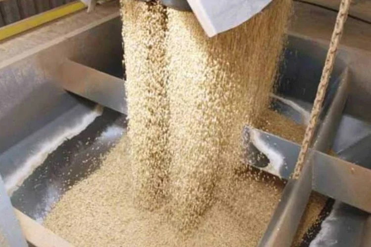 
	A nova empresa dever&aacute; estruturar opera&ccedil;&otilde;es financeiras para aquisi&ccedil;&atilde;o de insumos agr&iacute;colas tais como sementes, adubos, defensivos, entre outros
 (Cleyber Arantes/Secom Governo de Tocantins)