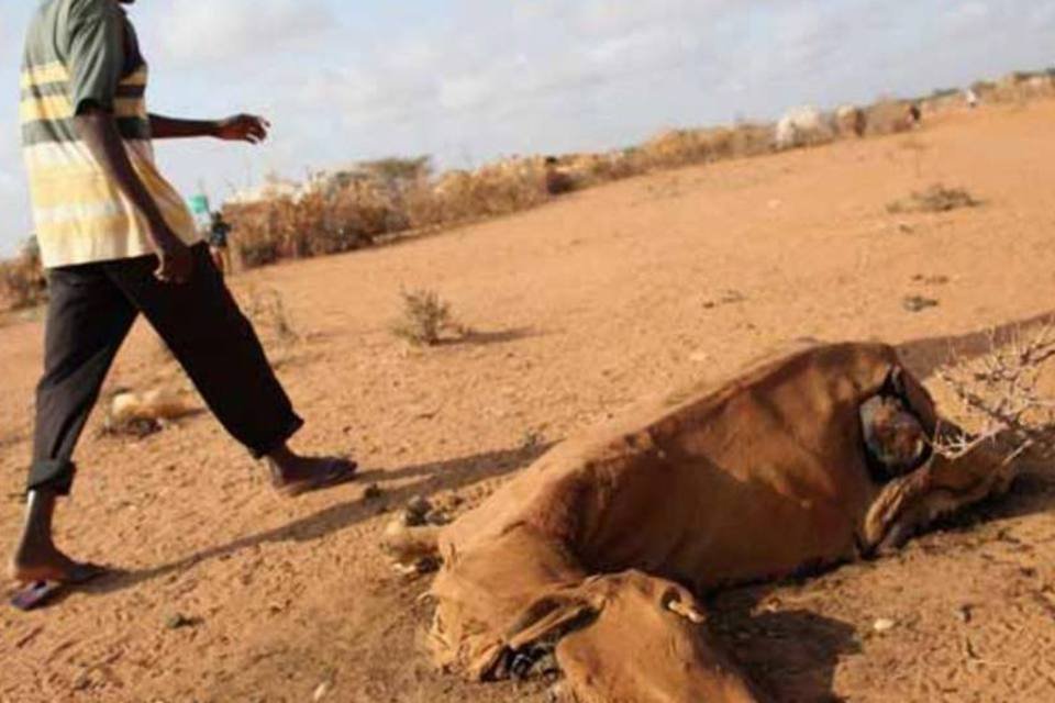 Crise de fome na Somália já matou cerca de 258 mil pessoas