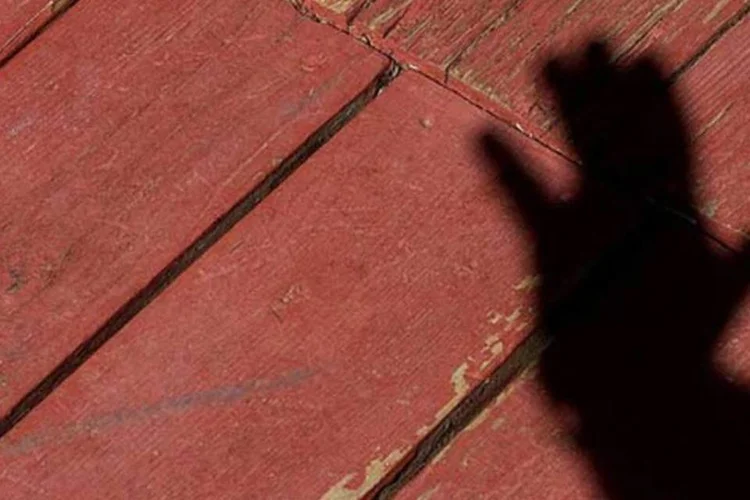 
	Sombra: segundo programa, a 1&ordf; medida que o pai tem que adotar ao perceber o desaparecimento do filho &eacute; registrar a ocorr&ecirc;ncia imediatamente em uma delegacia
 (Creative Commons/Flickr/cogdog)