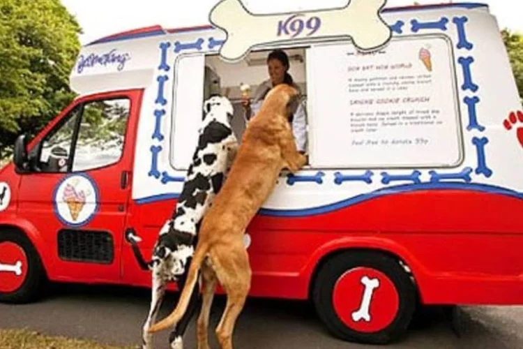 Sorveteria boa pra cachorro: cada guloseima gelada custa US$1,50. (.)