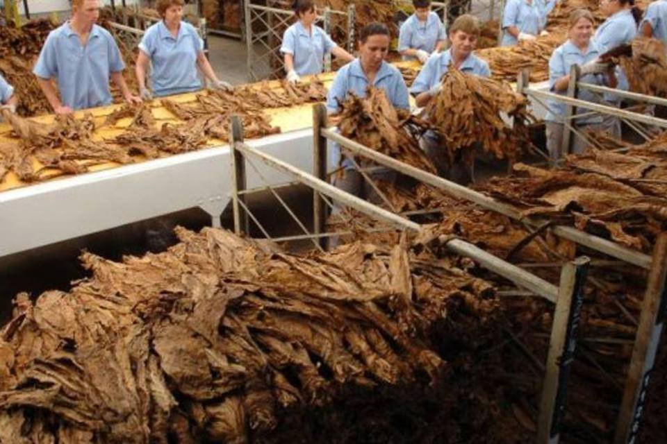 Ações Hoje: Souza Cruz com projeções "light"