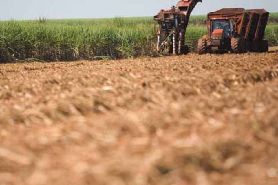 Câmara pode votar MP que desonera cadeia produtiva do álcool