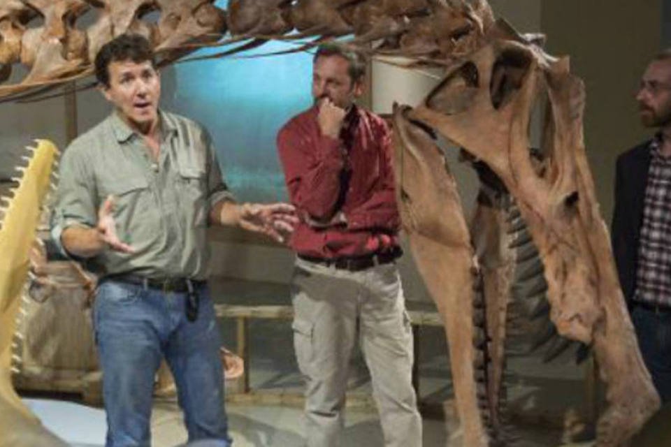 Spinossaurus: ele é o maior dinossauro predador conhecido até hoje, dizem pesquisadores (AFP)