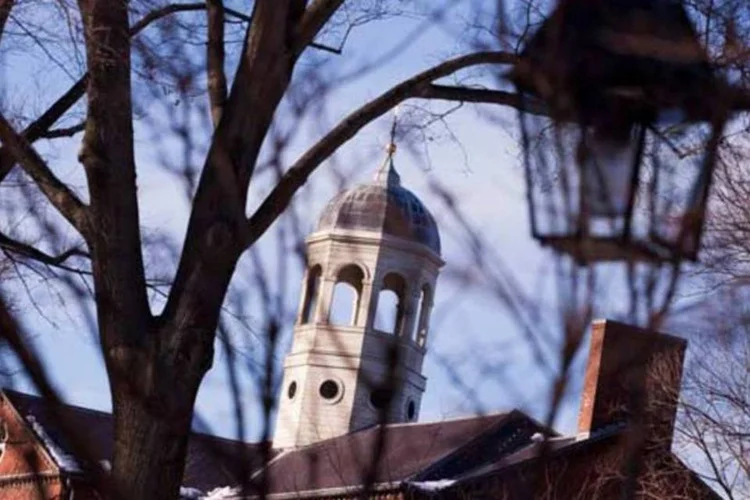 Harvard em alguns dias  (Stephaniel Mitchell/Divulgação)