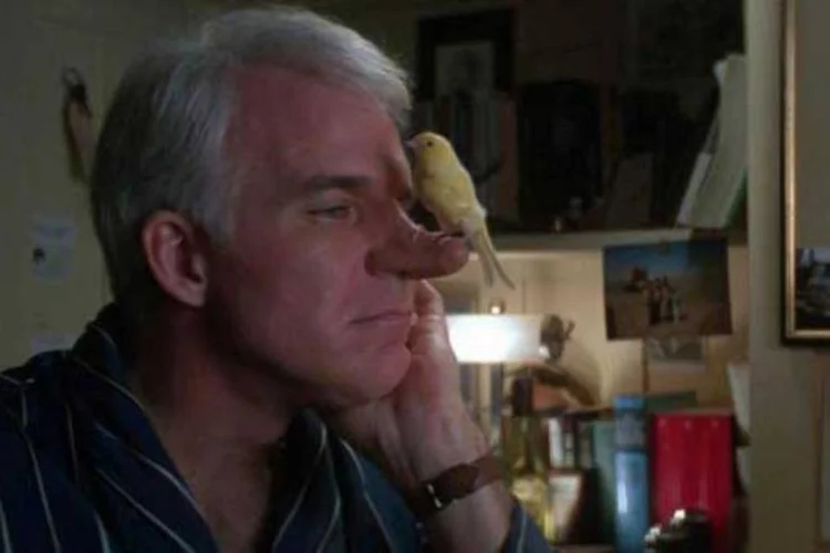Steve Martin: "Não é napa, é geolocalizador" (Reprodução)