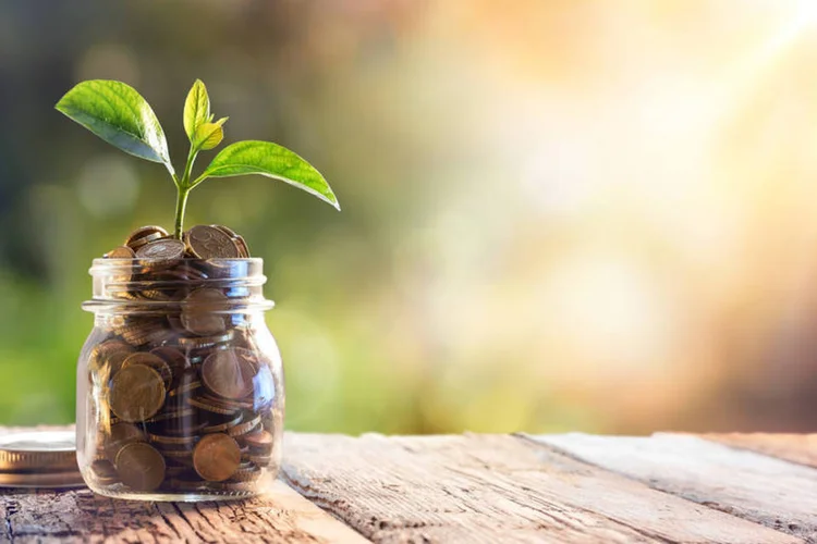 Superstições: Dizem que plantar girassol com uma moeda embaixo da terra ajuda a ter prosperidade (Thinkstock/RomoloTavani)