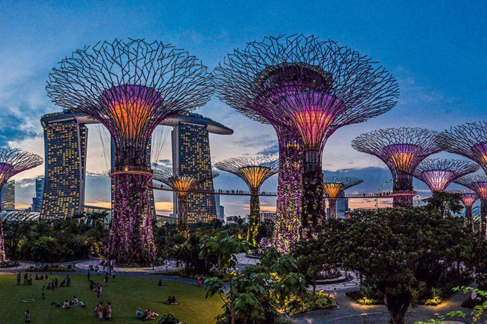 As supertrees no Parque Jardins da Baía: Singapura tem o melhor ambiente de negócios dos 189 países do ranking Doing Business (Getty Images)