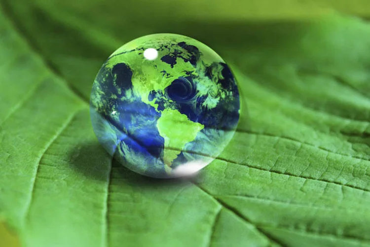 O Marco Global da Biodiversidade firmado na COP15 estipula uma meta de US$ 200 bilhões anuais para a conservação até 2030 (./Thinkstock)