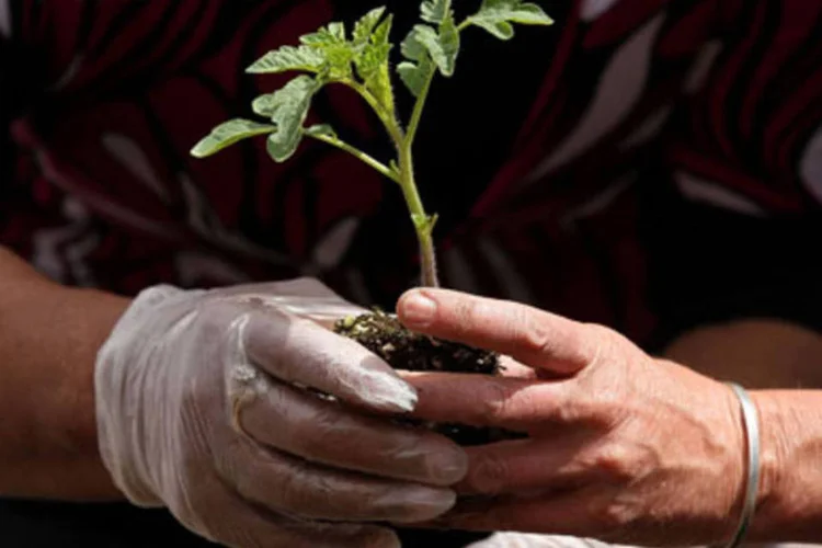 Pequenas ações podem tornar uma empresa sustentável (.)