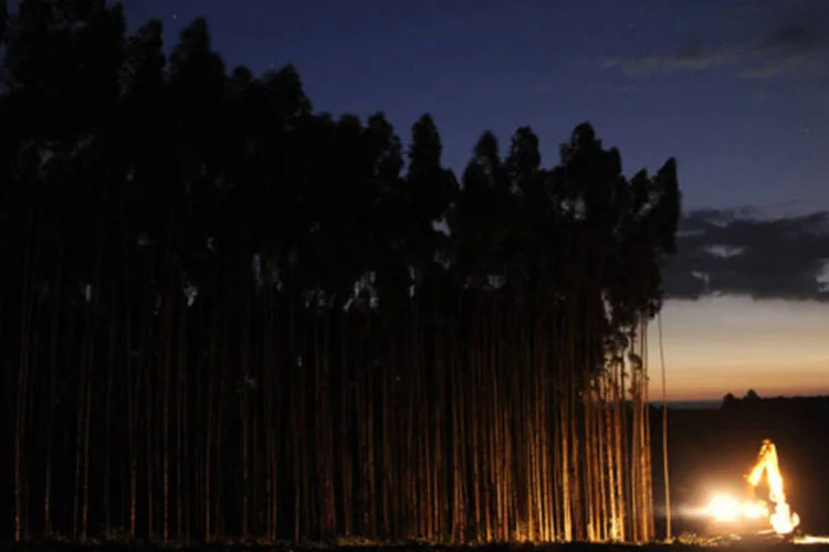 A fábrica está sendo construída em Mato Grosso do Sul (Germano Lüders/EXAME.com)
