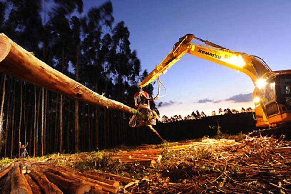 Suzano eleva em US$20 preço da celulose a partir de setembro