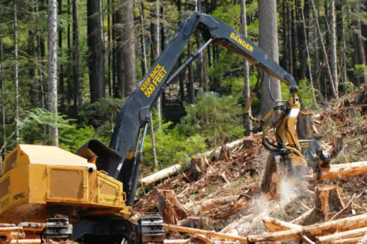 
	Equipamento da Suzano para colheita de eucalipto
 (Divulgação)