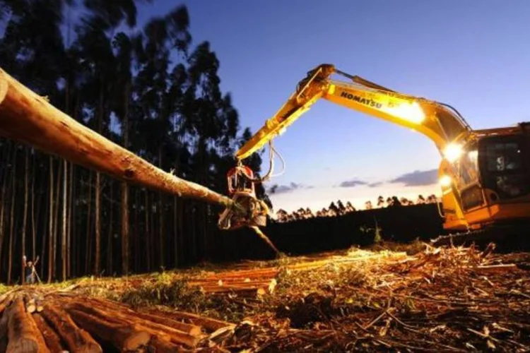 
	F&iacute;bria: as a&ccedil;&otilde;es da maior produtora mundial de celulose acumulam uma alta de 21 por cento do in&iacute;cio do m&ecirc;s at&eacute; o fechamento desta quarta-feira
 (Germano Luders)