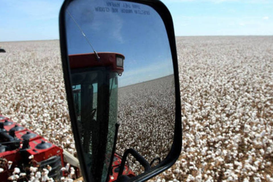 EUA vão pagar US$300 mi para encerrar disputa sobre algodão