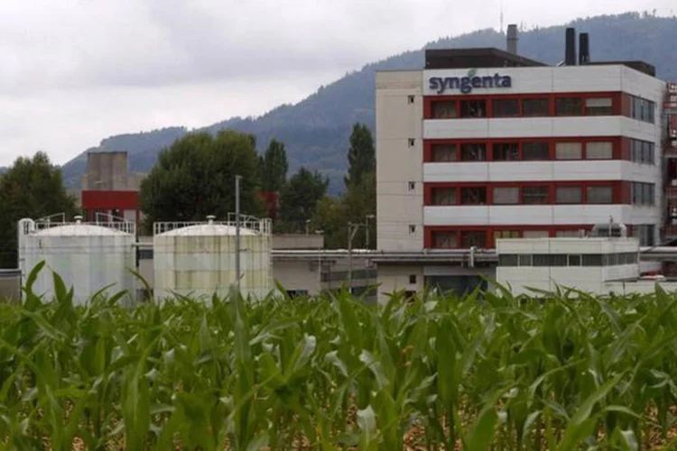 
	Pr&eacute;dio da fabricante de pesticidas Syngenta: na &uacute;ltima semana, a Syngenta recusou uma oferta de 42 bilh&otilde;es de d&oacute;lares
 (Arnd Wiegmann/REUTERS)
