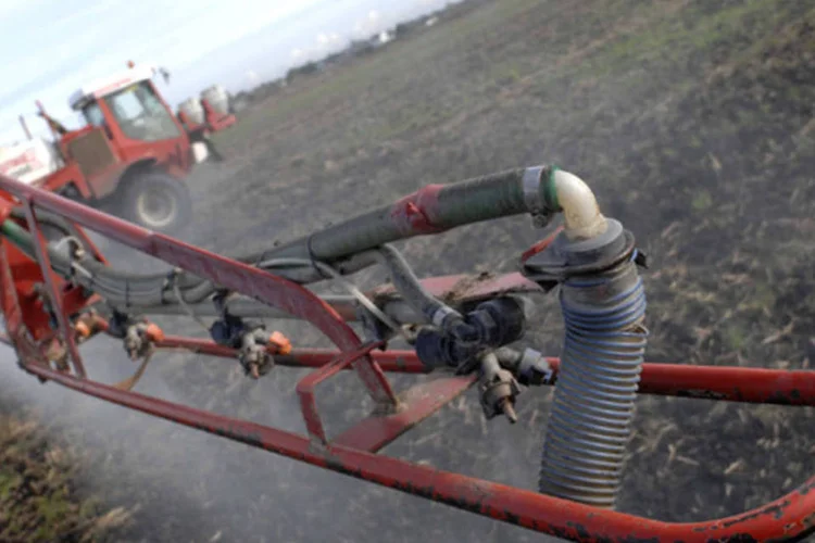 
	Qu&iacute;micos da Syngenta na agricultura: maior empresa de sementes do mundo disse no m&ecirc;s passado que ainda buscaria a aquisi&ccedil;&atilde;o da Syngenta
 (Bloomberg)