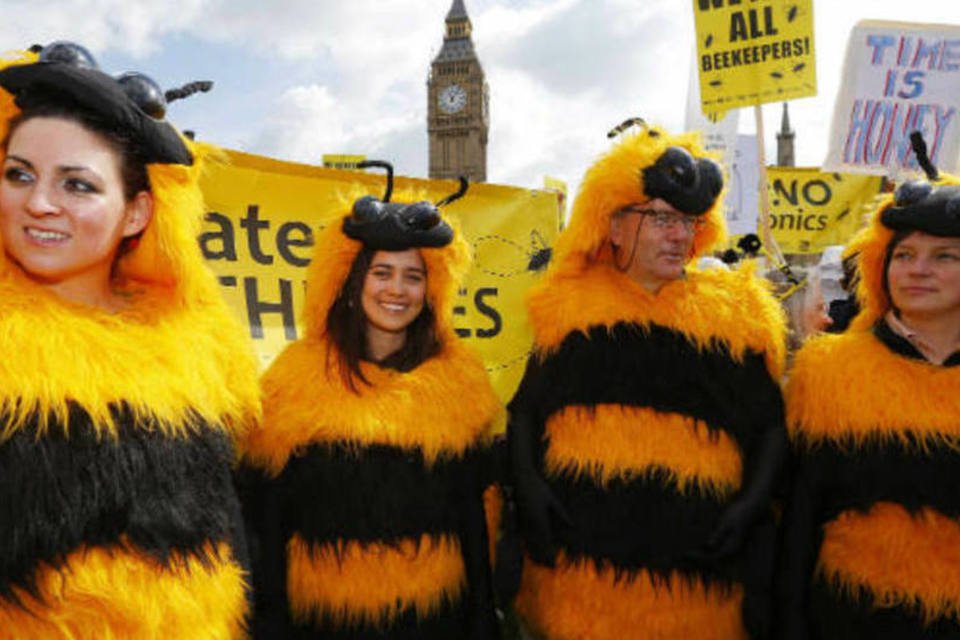 Estilistas britânicos fazem campanha para salvar abelhas