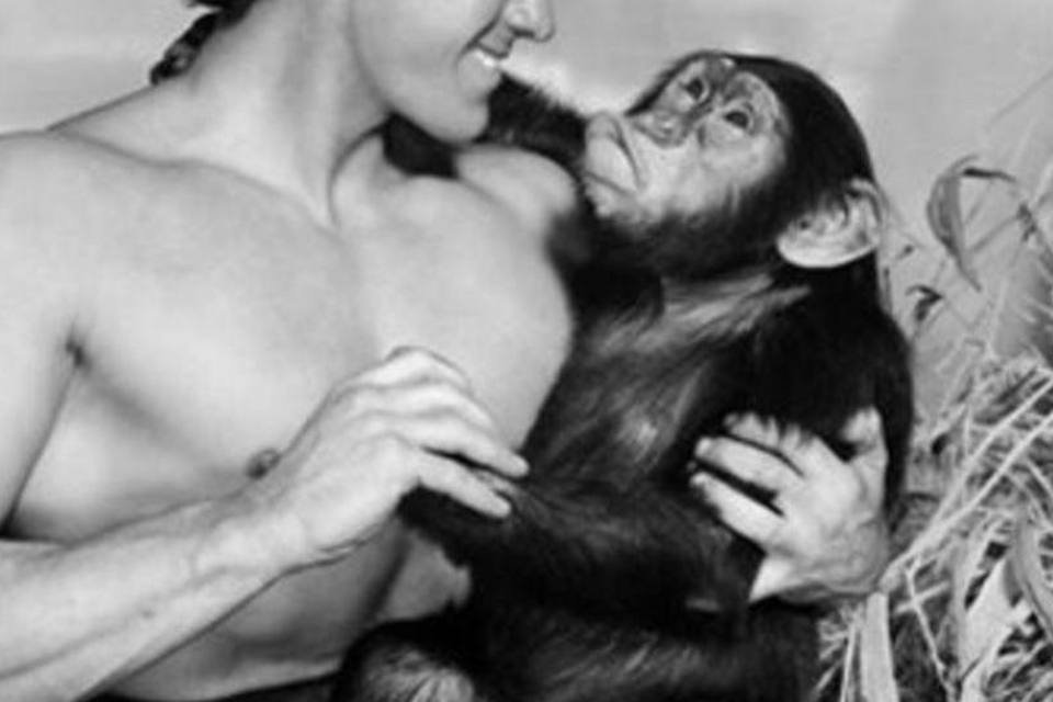 Morre macaca Chita, a inesquecível acompanhante de Tarzan