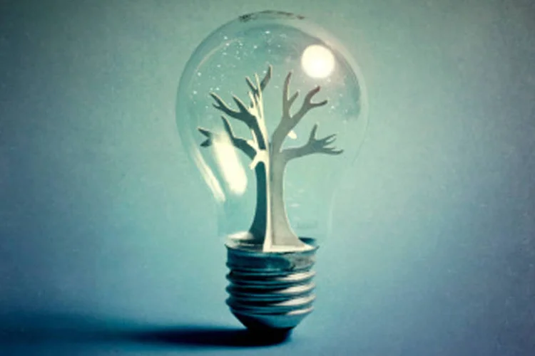 Meio ambiente: Química Verde se trata da criação de produtos e processos químicos ambientalmente sustentáveis  (Getty Images)