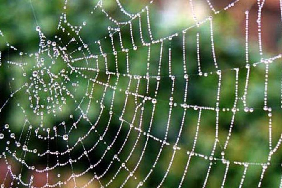 Teia de aranha torna pele humana resistente a balas