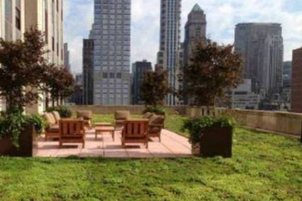 Telhado verde "nasce" no Empire State Building, em NY